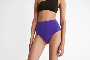 Women's Eres Conquete High-waisted Bikini Bottoms Purple | 850739ZPQ
